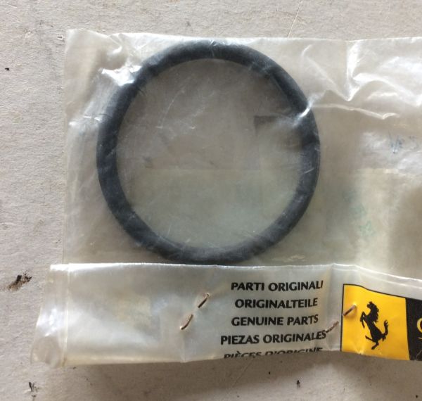 Sealing Ring / Dichtring