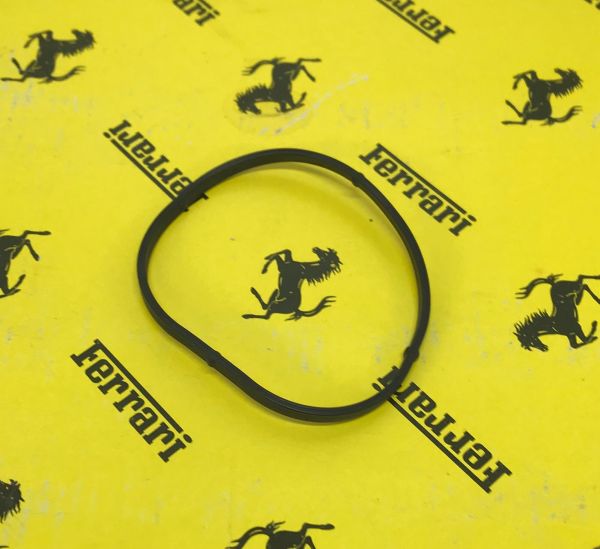 Gasket / Dichtung