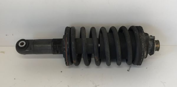 Front Shock Absorber with Spring / Federbein vorne