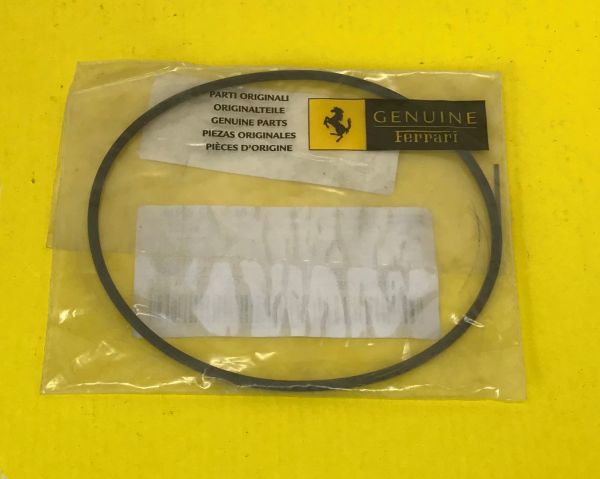 Fuel Pump O-Ring / Kraftstoffpumpe Dichtung