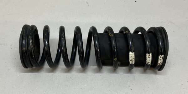 Front Spring / Feder vorne
