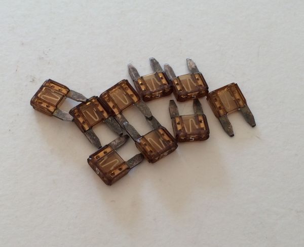 5 Amp - Fuse / Sicherung