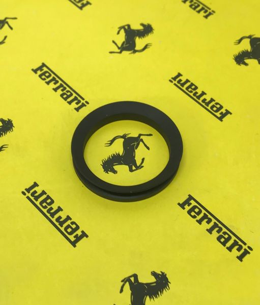Sealing Ring / Dichtring