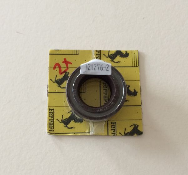 Sealing Ring / Wellendichtring