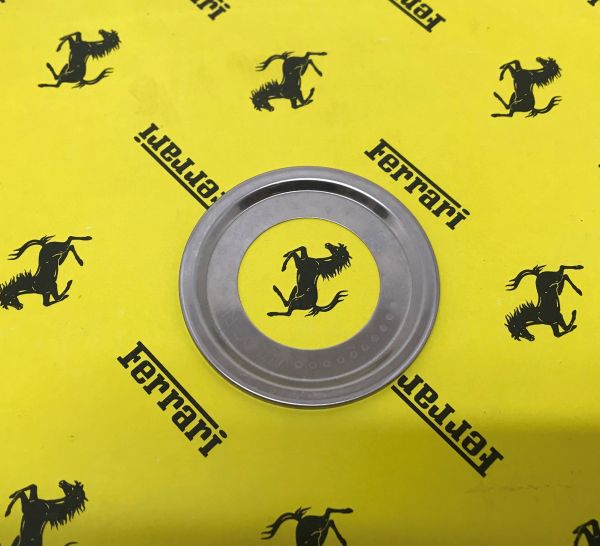 Centrifugal Ring / Ring an Radlager