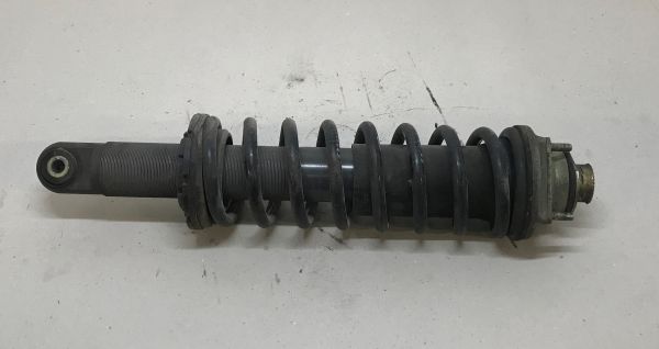 Rear Shock Absorber with Spring / Federbein hinten