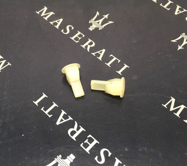 Plastic Nut / Mutterndübel