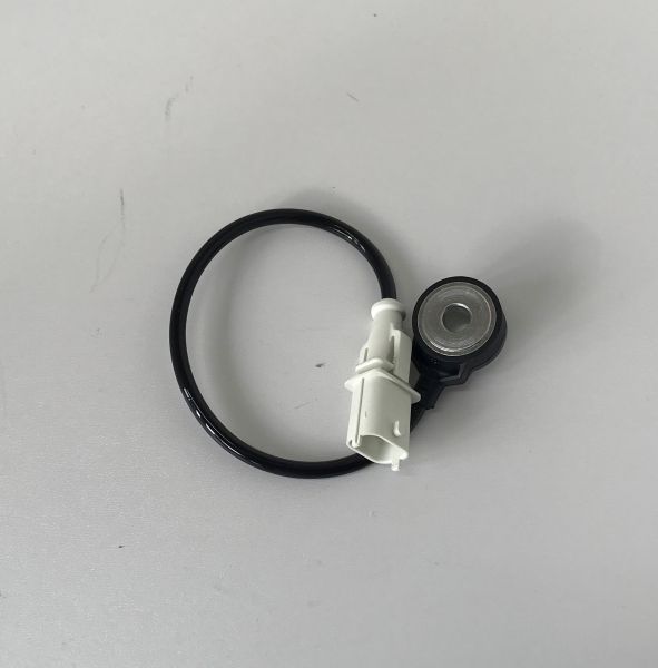 Sensor for Firing / Klopfsensor