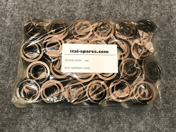Set of Valvesprings / Satz Ventilfedern