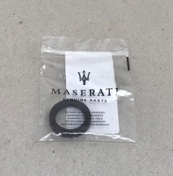 Seal Ring / Wellendichtring