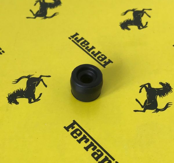 Grommet for Injection / Dichtring für Einspritzanlage