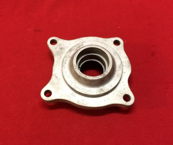 Water Pump Inner Body / Gusskörper Wasserpumpe