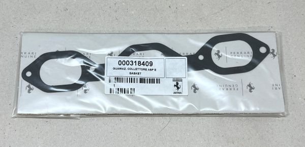 Ferrari V12 - Inlet Manifold Gasket / Dichtung Ansaugtrakt 
