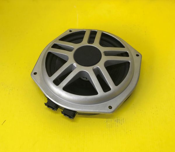 Door Speaker / Türlautsprecher